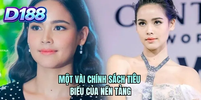 Một vài chính sách tiêu biểu của nền tảng